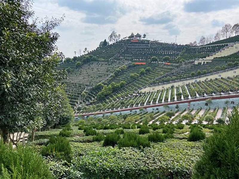 温江区墓地价格解析：从价格到选择